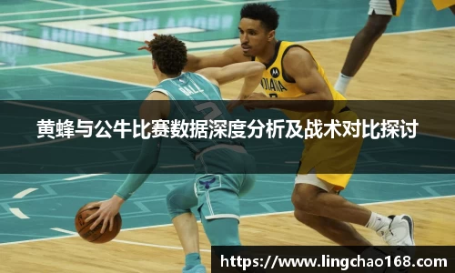黄蜂与公牛比赛数据深度分析及战术对比探讨