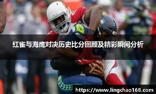 红雀与海鹰对决历史比分回顾及精彩瞬间分析